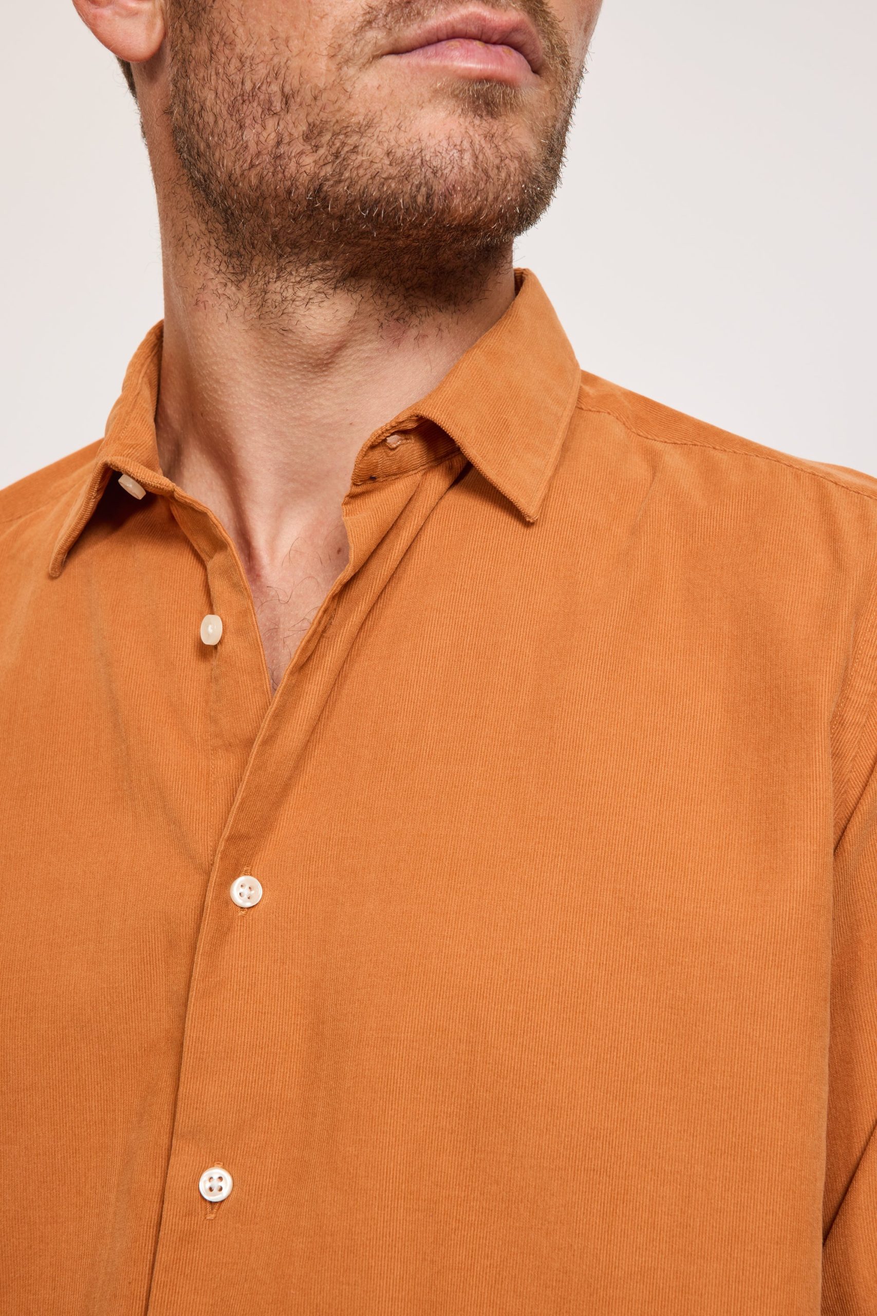 CHEMISE AJUSTÉE VELOURS POTIRON