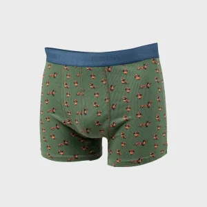 BOXER TECKEL