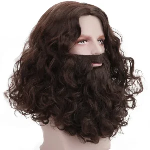 Déguisement barbe et cheveux longs