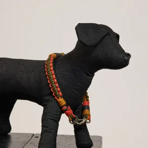 COLLIER DE CHIEN L