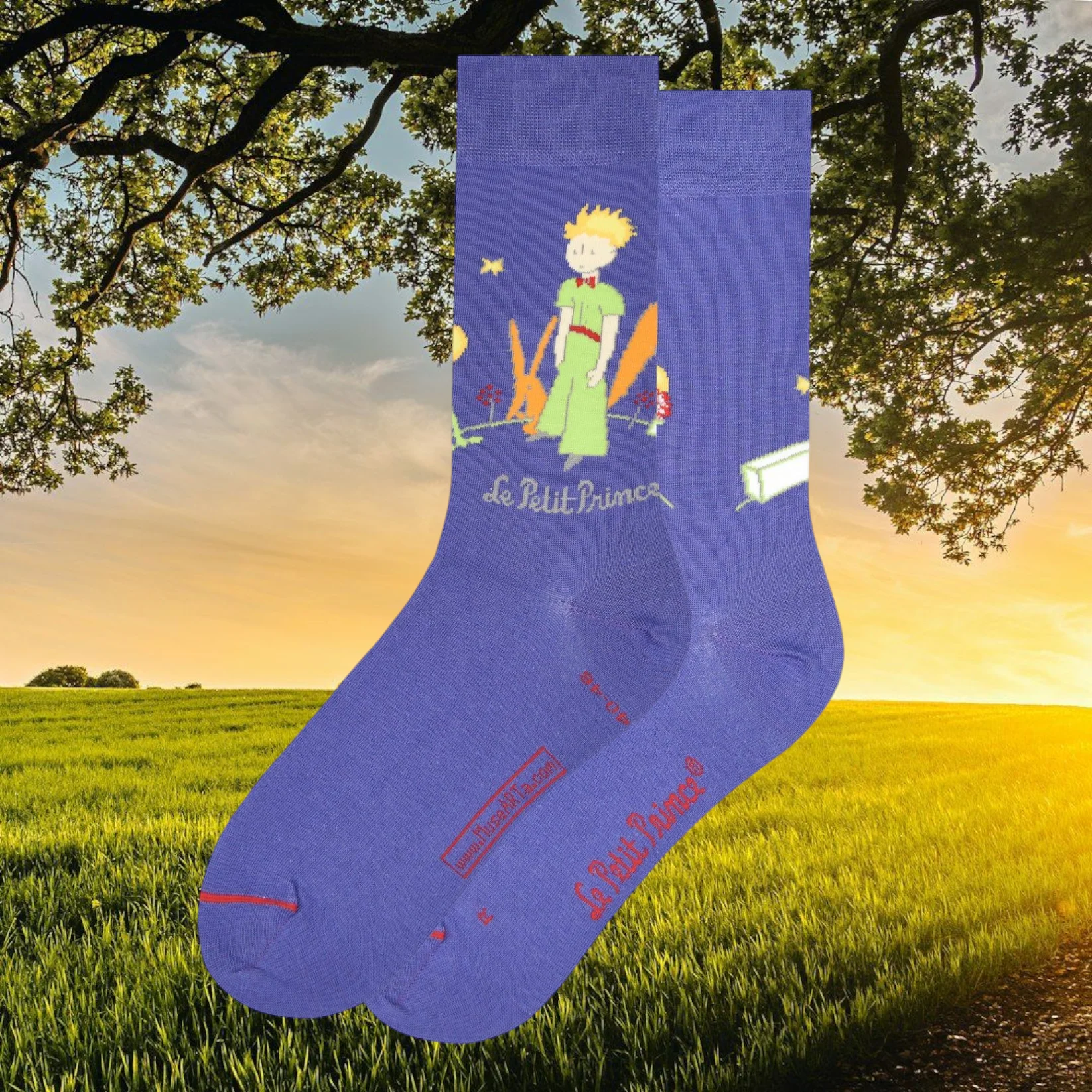 Les Artistiques - Le Petit Prince - Chaussettes Fox