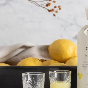 Shooter limonetta